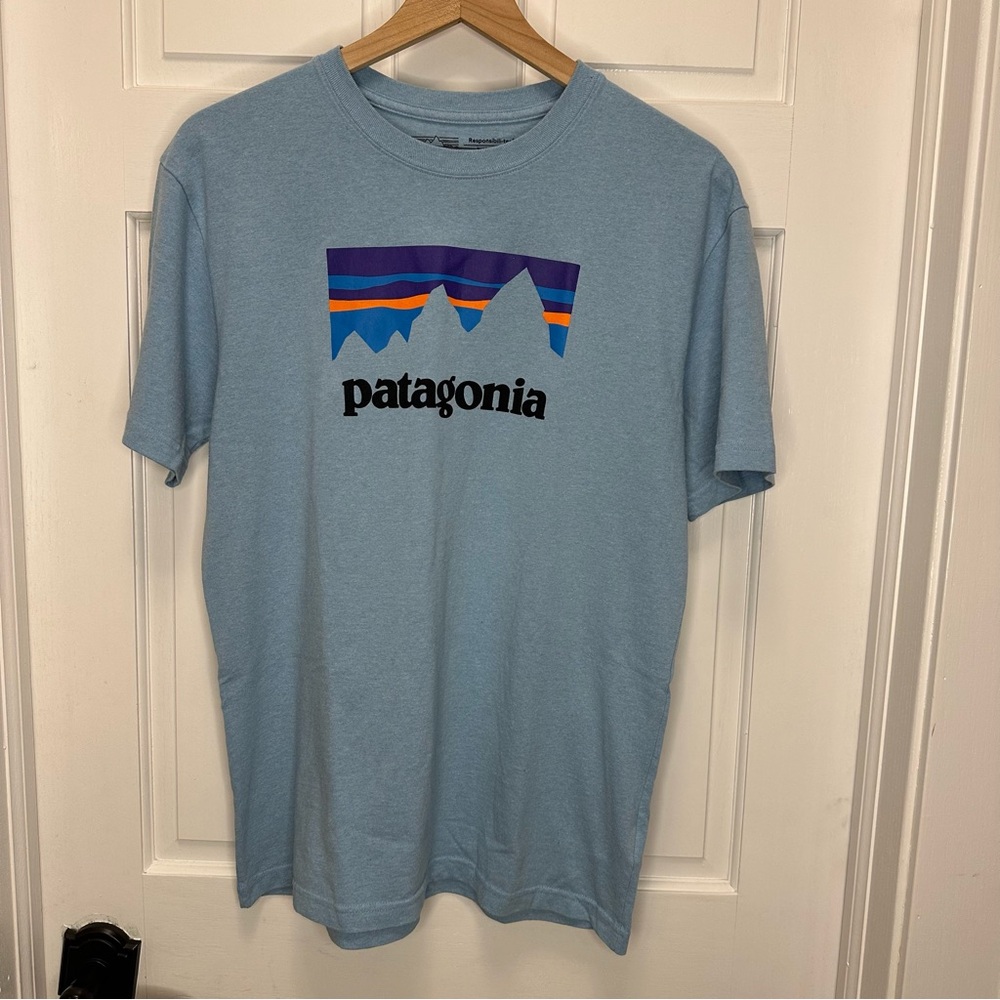 Patagonia Men's Medium Light Blue Mountain Tee